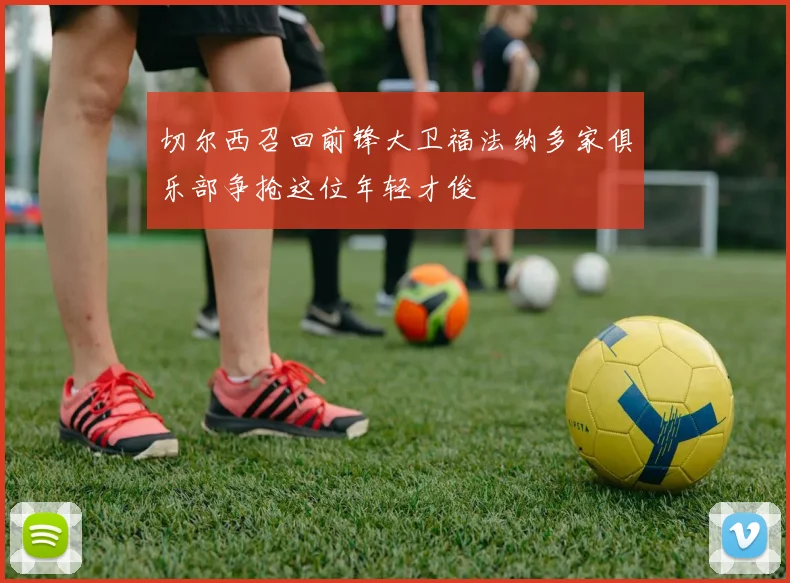 切尔西召回前锋大卫福法纳多家俱乐部争抢这位年轻才俊