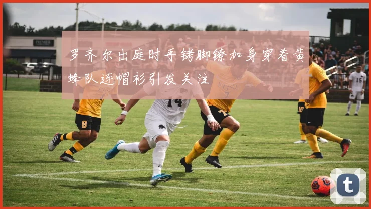 罗齐尔出庭时手铐脚镣加身穿着黄蜂队连帽衫引发关注