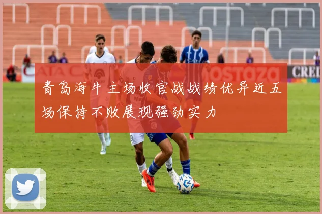 青岛海牛主场收官战战绩优异近五场保持不败展现强劲实力